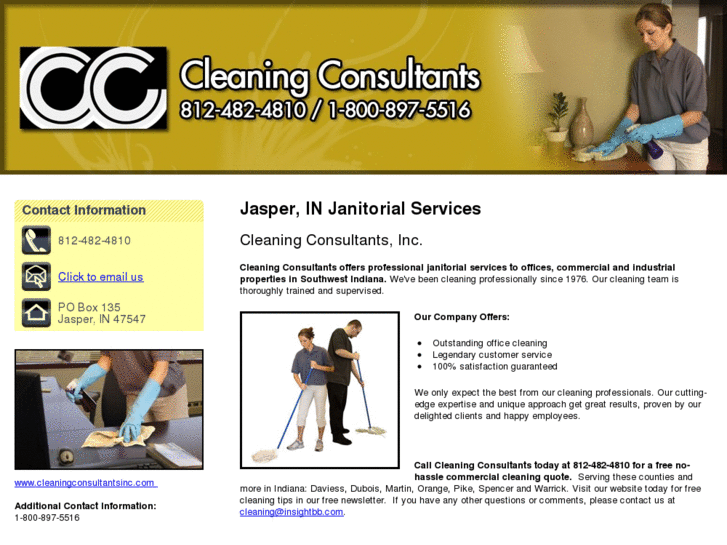 www.cleaningconsultant1.com