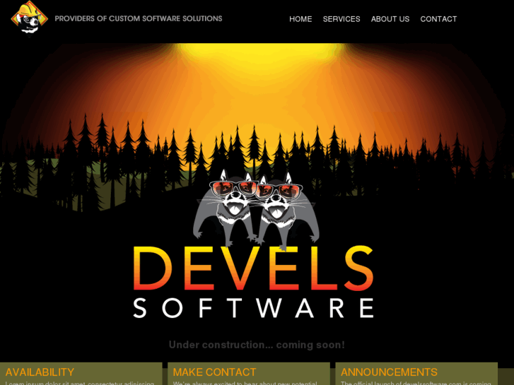 www.develssoftware.com