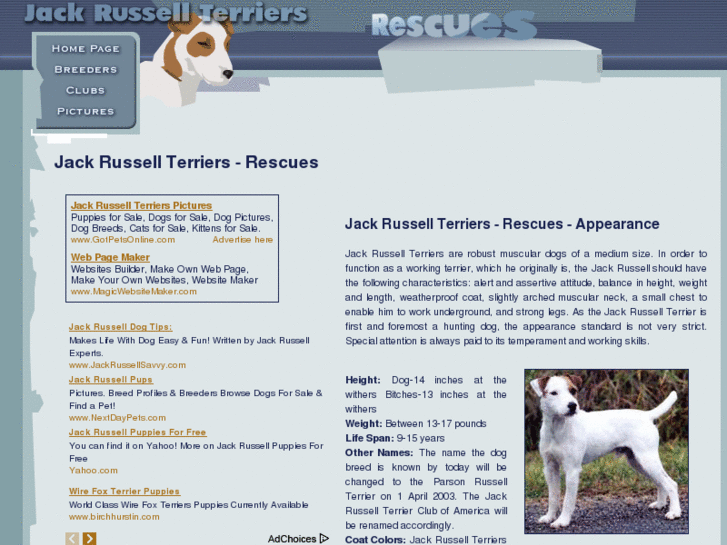 www.jack-russell-terriers-rescues.com