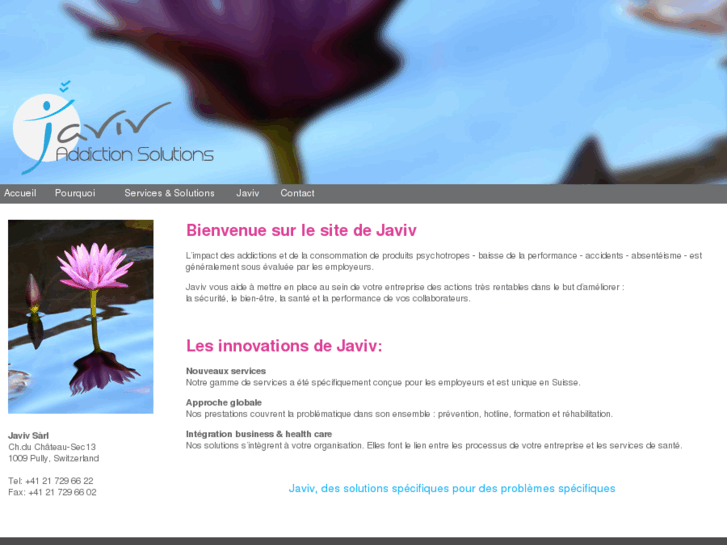 www.javiv.com