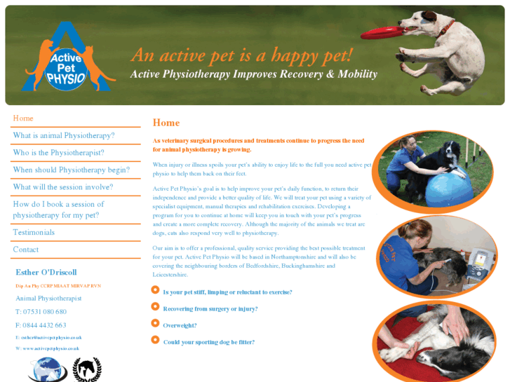 www.activepetphysio.co.uk