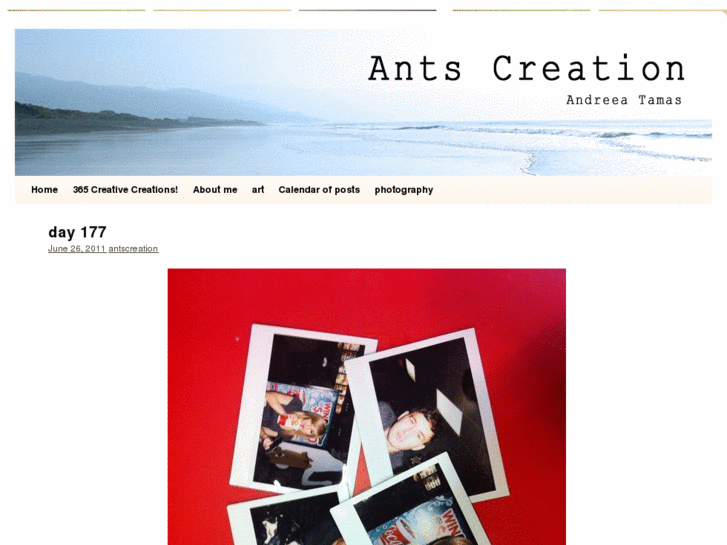 www.antscreations.com