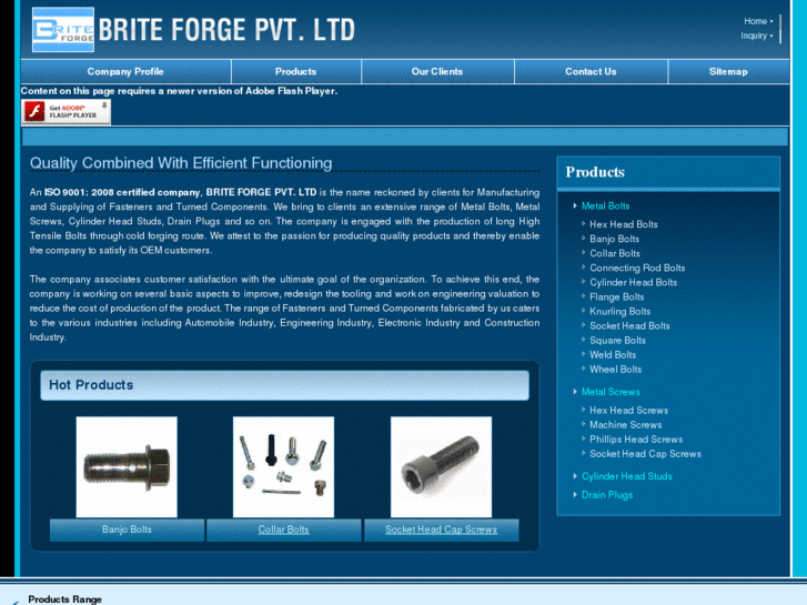 www.briteforge.com