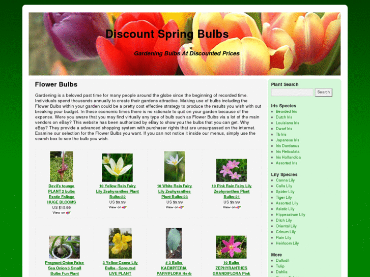 www.discountspringbulbs.info