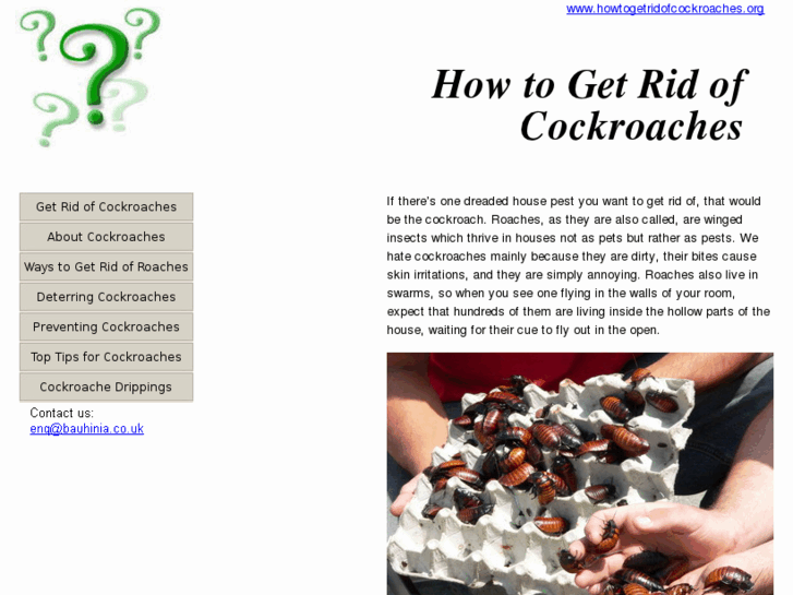 www.howtogetridofcockroaches.org