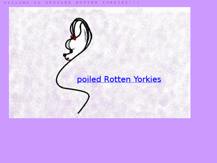 www.spoiledrottenyorkies.com