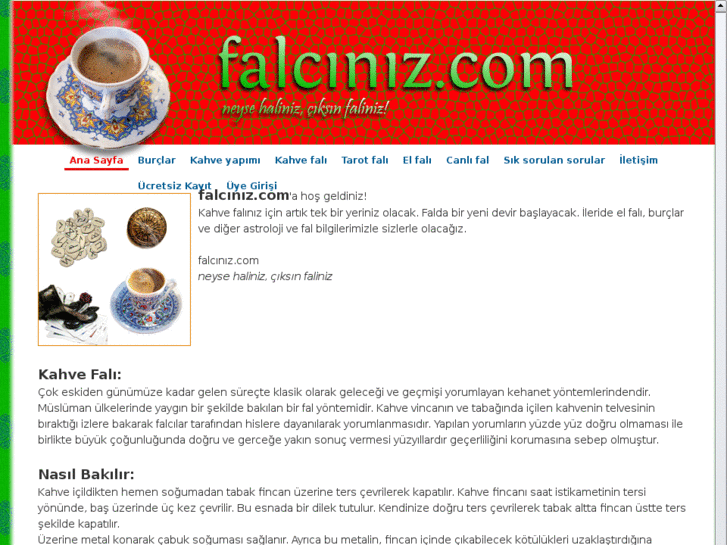 www.xn--falcnz-s9ab.com