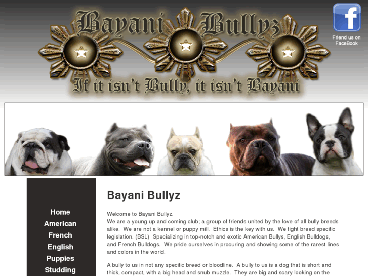 www.bayanibullyz.com