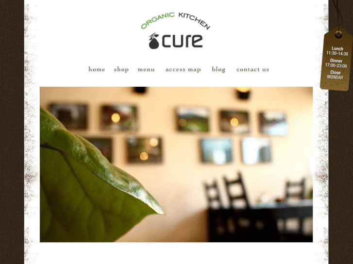 www.cure-cafe.com