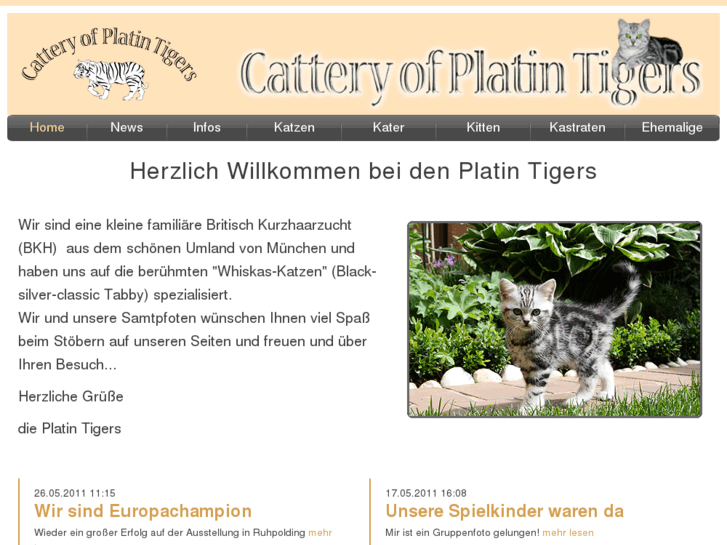 www.platin-tigers.de