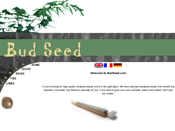 www.budseed.com