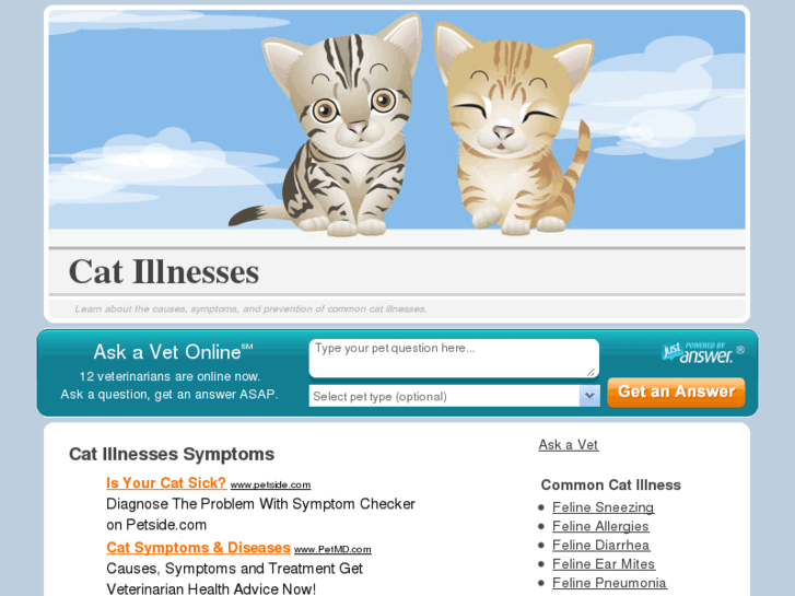 www.cat-illnesses.com