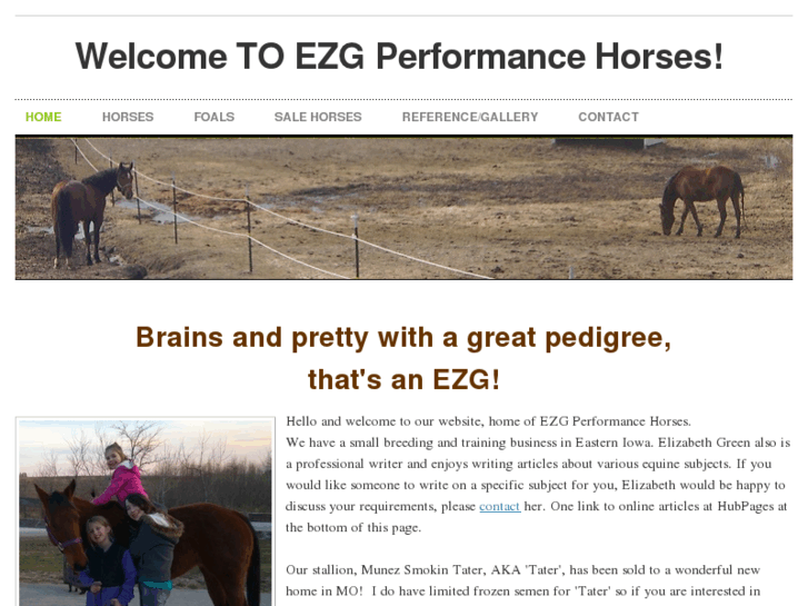 www.ezgperformancehorses.com