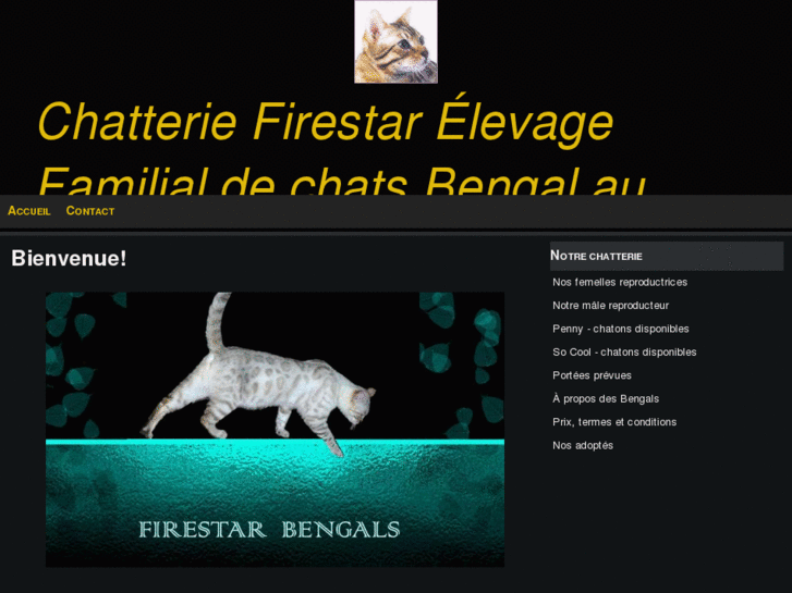 www.firestarbengals.com