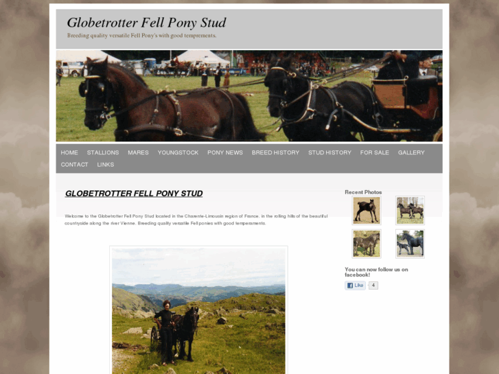 www.globetrotterstud.com