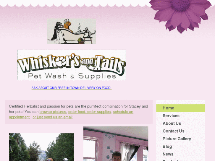 www.telluridedogwash.com