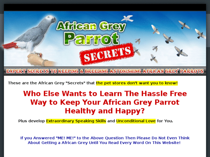 www.africangreyparrotsecrets.com