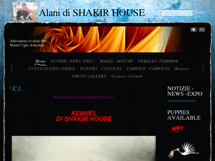 www.alanidishakir.com