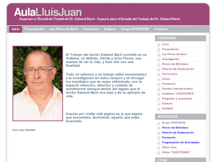 www.aulalluisjuan.com