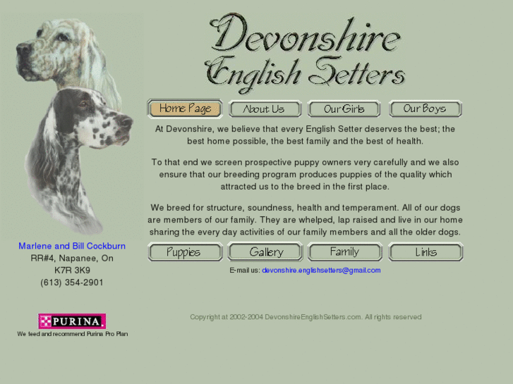 www.devonshireenglishsetters.com