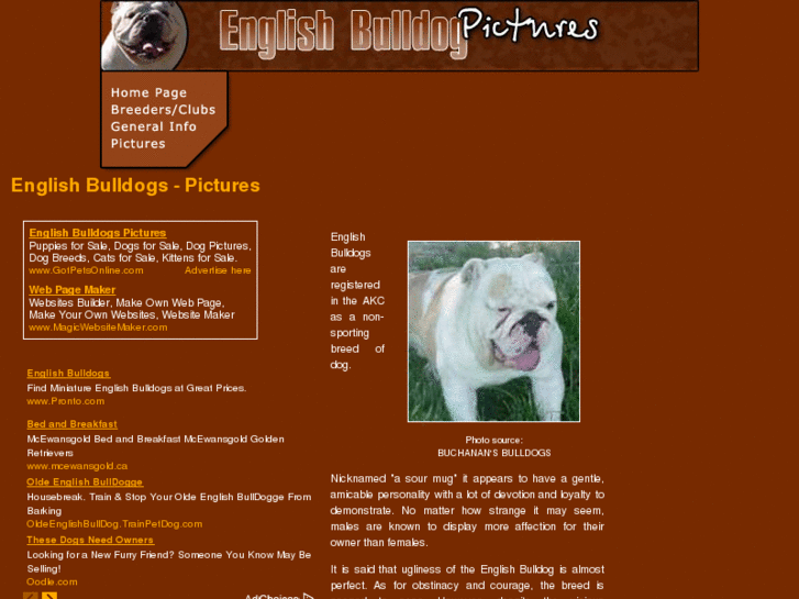 www.english-bulldogs-pictures.com