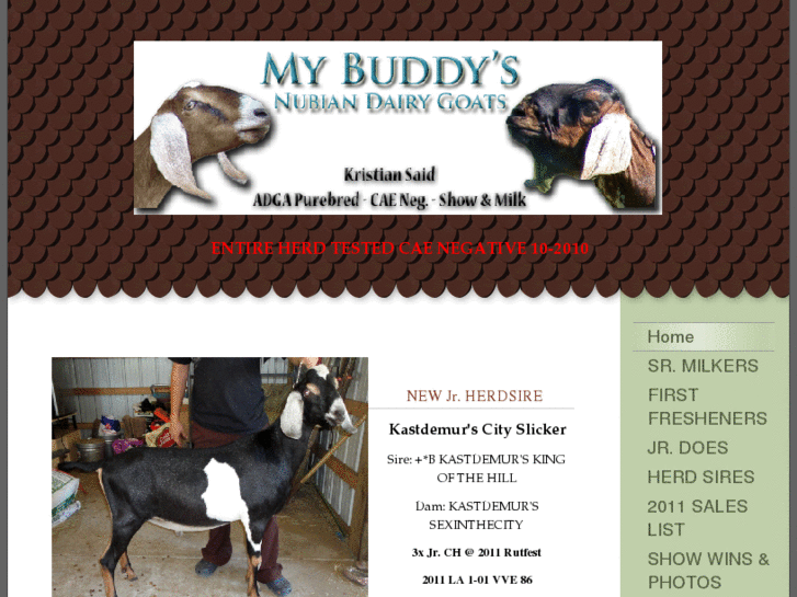 www.mybuddysnubians.com