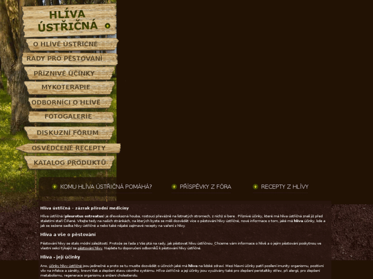 www.i-hlivaustricna.cz