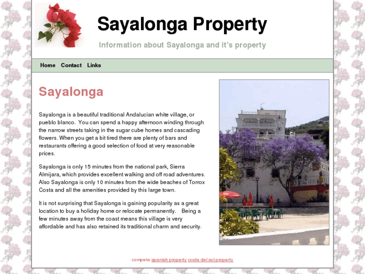 www.sayalongaproperty.com