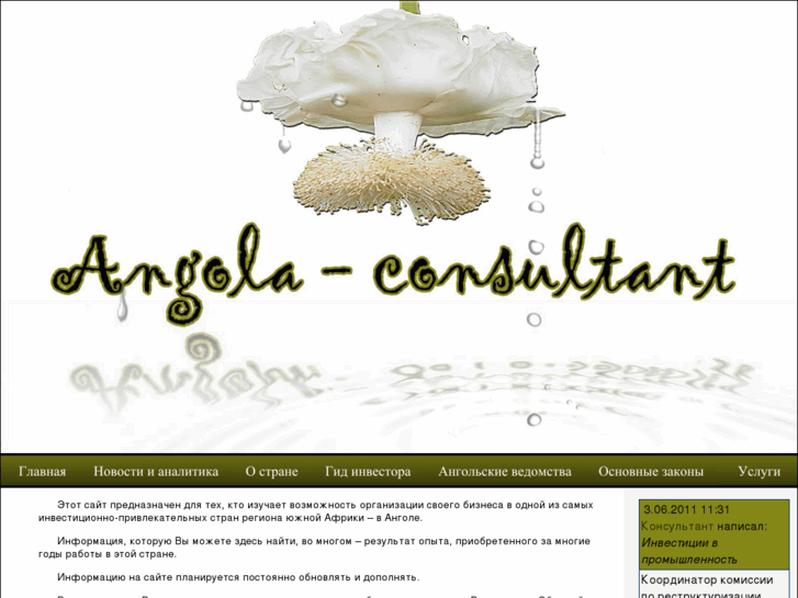 www.angola-consultant.com