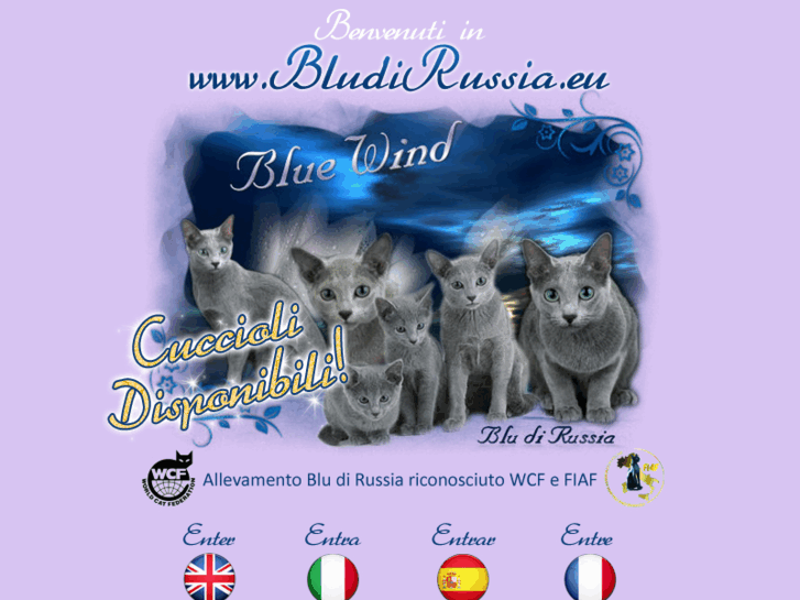 www.bludirussia-bluewind.it