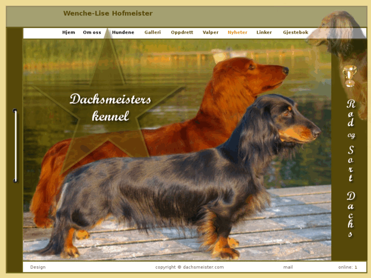 www.dachsmeister.com