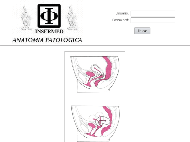 www.insermed.com