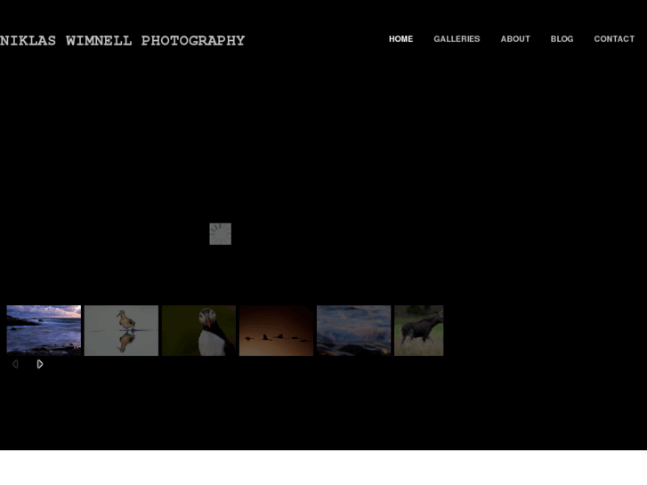 www.niklaswimnell.com