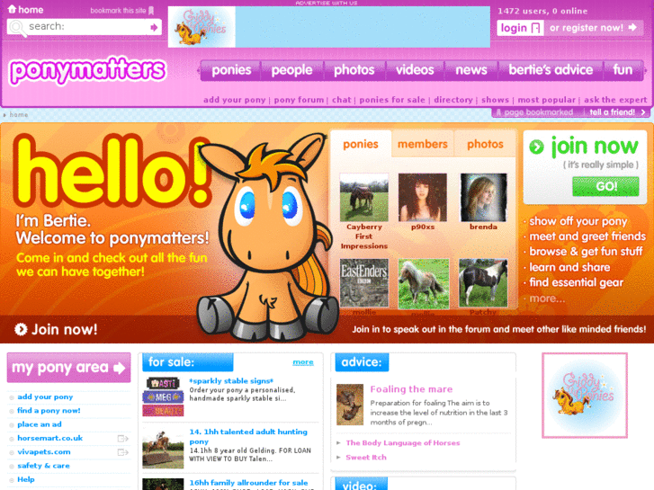 www.ponymatters.com