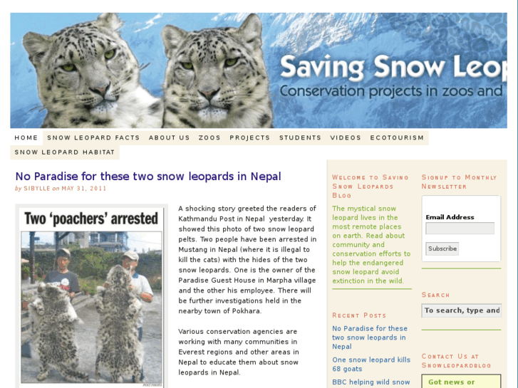 www.snowleopardblog.com