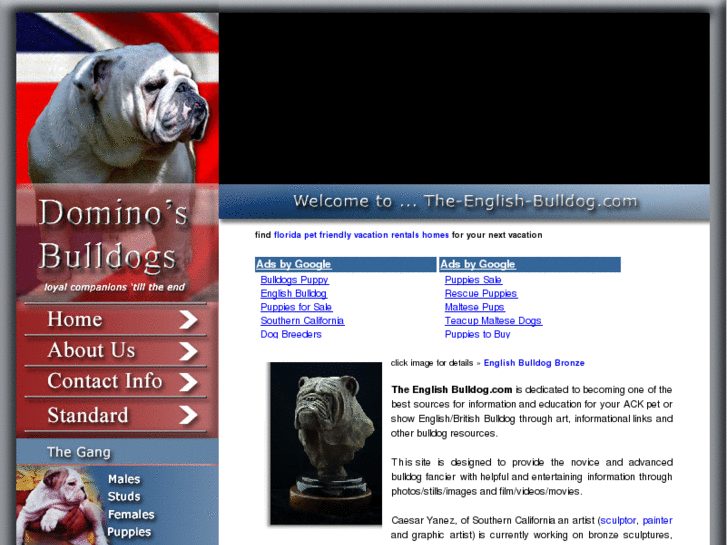 www.the-english-bulldog.com