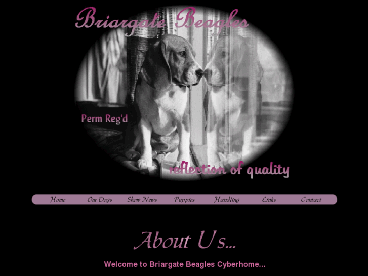 www.briargatebeagles.com