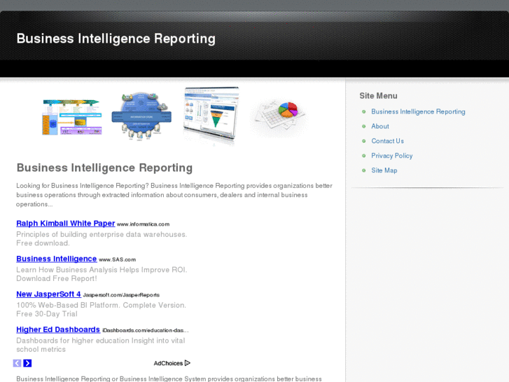 www.businessintelligencereporting.net