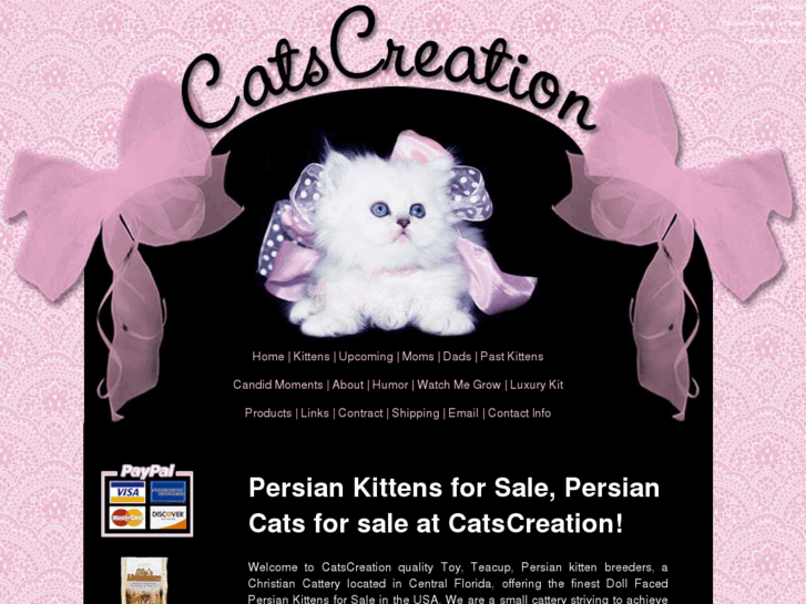 www.catscreation.com