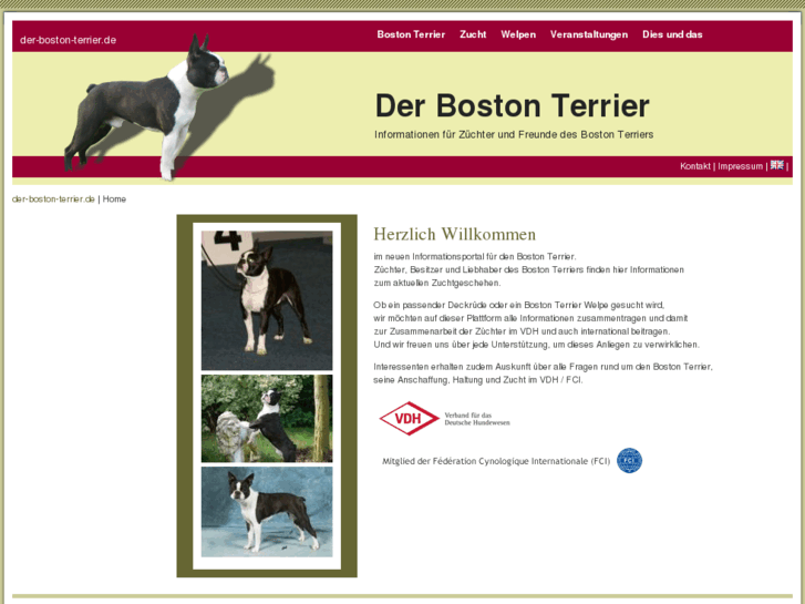 www.der-boston-terrier.de