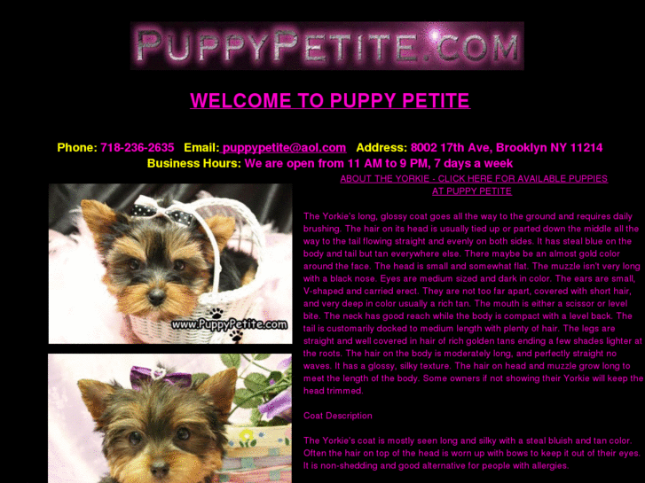 www.puppypetitepuppy.com