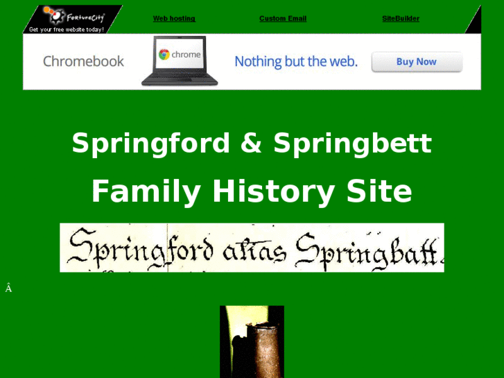 www.springford.co.uk