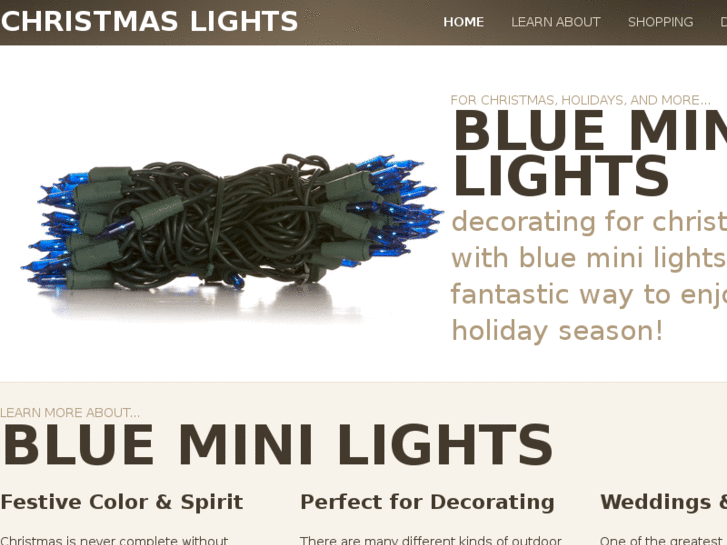 www.blueminilights.com