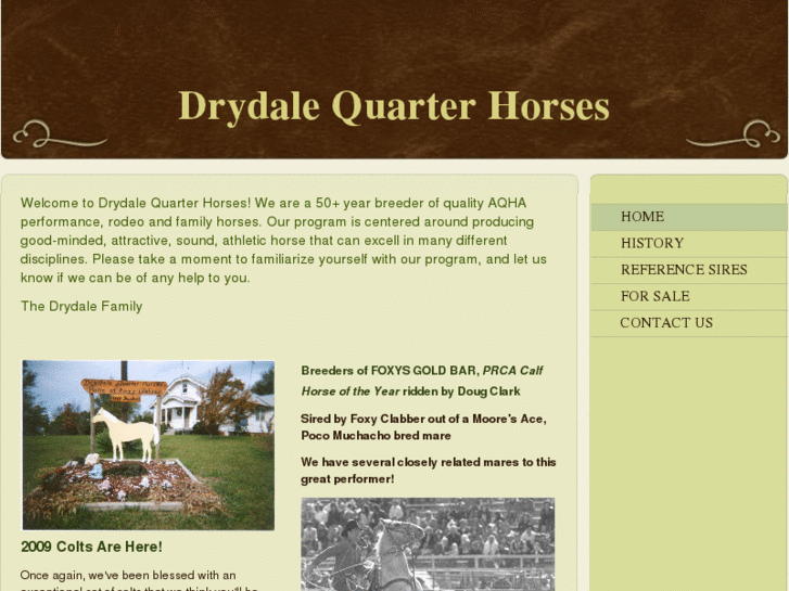 www.drydalequarterhorses.com