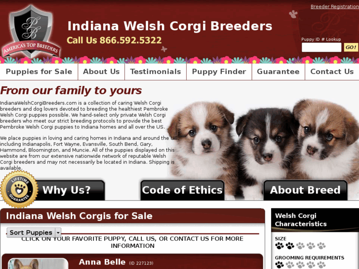 www.indianawelshcorgibreeders.com