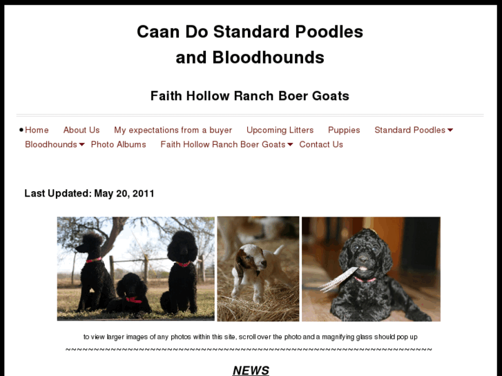 www.caandostandardpoodles.com