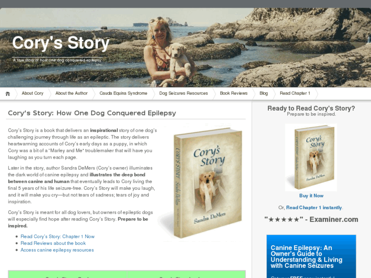 www.corysstory.com