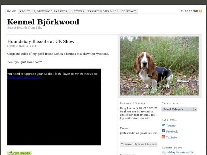 www.bassethounds.nu