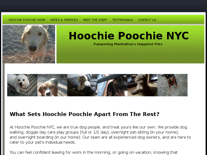 www.hoochiepoochienyc.com