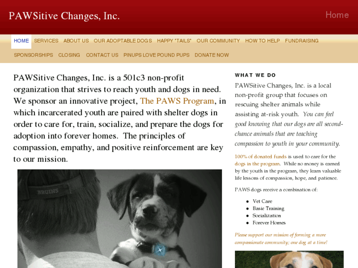 www.pawsitive-changes.com